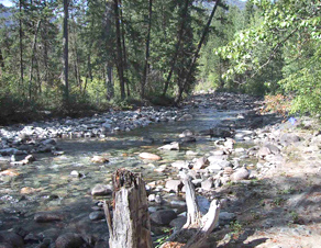 Photograph of headwaters of the Methow River above Lost River in the Okanogan National Forest. (Photograph taken by C.P. Konrad, U.S. Geological Survey, September 2001.)