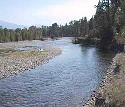 Photograph showing view of ground-water seeps out of a side channel (or left) providing base flow to the Methow River. (Photograph taken by C.P. Konrad, U.S. Geological Survey, September 2001.)