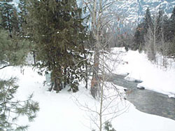 Photograph showing streamflow-gaging station no. 12447382 on Early Winters Creek. (Photograph taken by C.P. Konrad, U.S. Geological Survey, February 2001.)