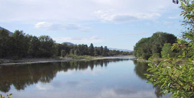 View north (upstream) of View north (upstream) of the Methow River below Beaver Creek.